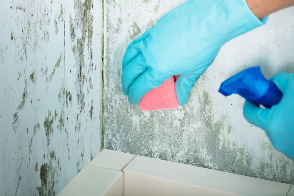 Prevent Mold in Garage in Seminole County & Orlando, FL
